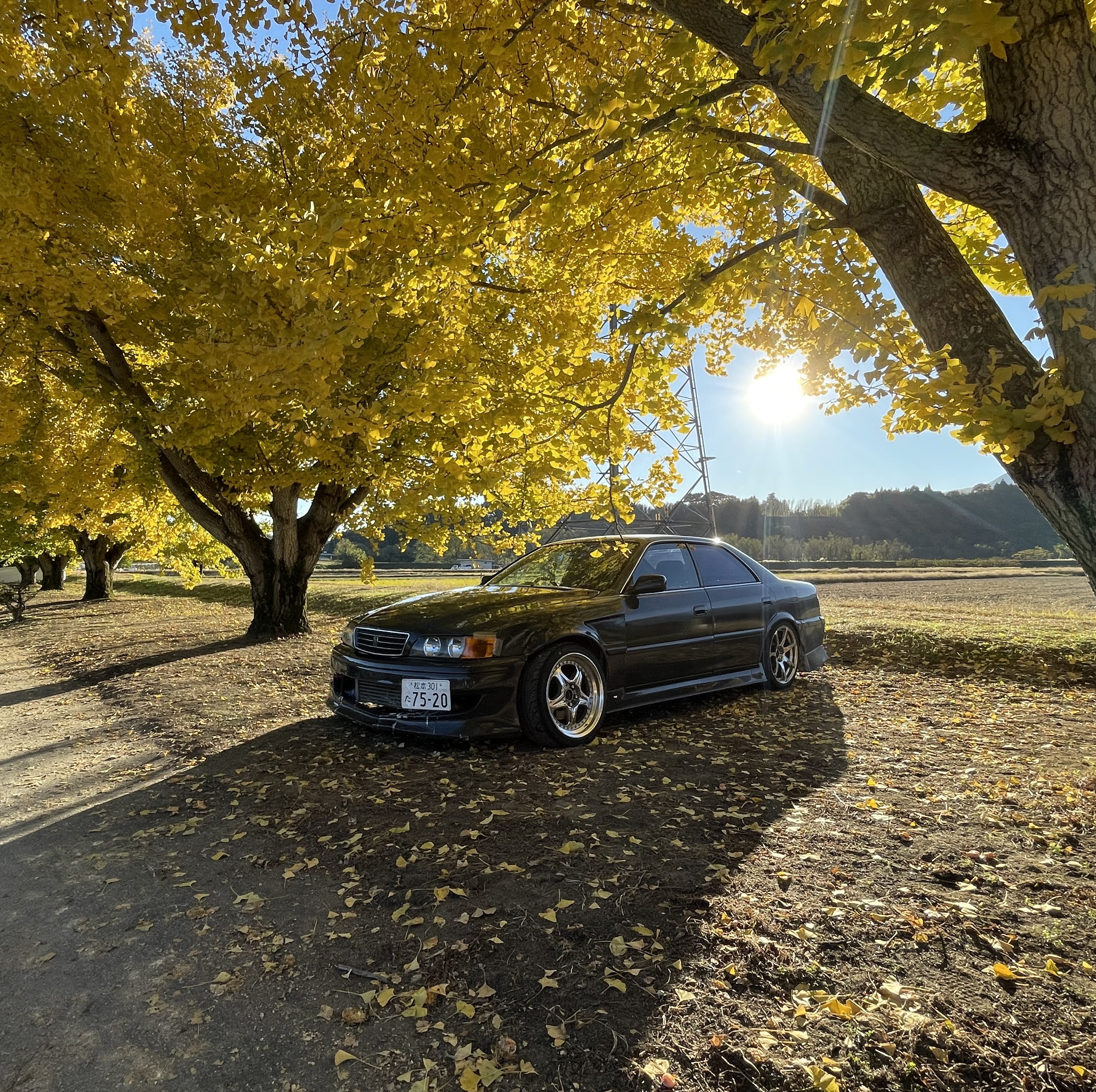 なんでも挑戦！ 車のDIY